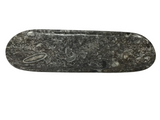 Orthoceras Fossil Long Oval Tray Dish
