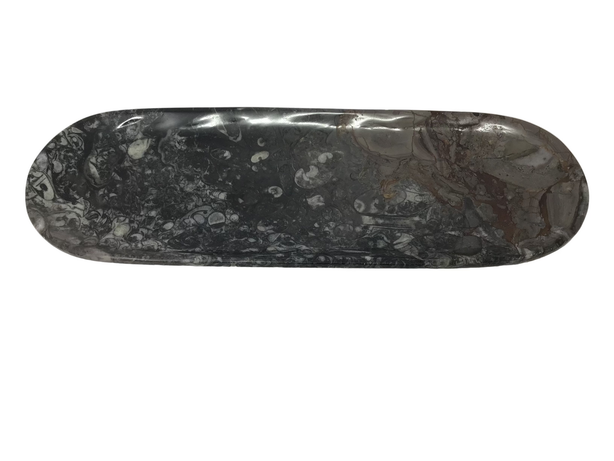 Orthoceras Fossil Long Oval Tray Dish