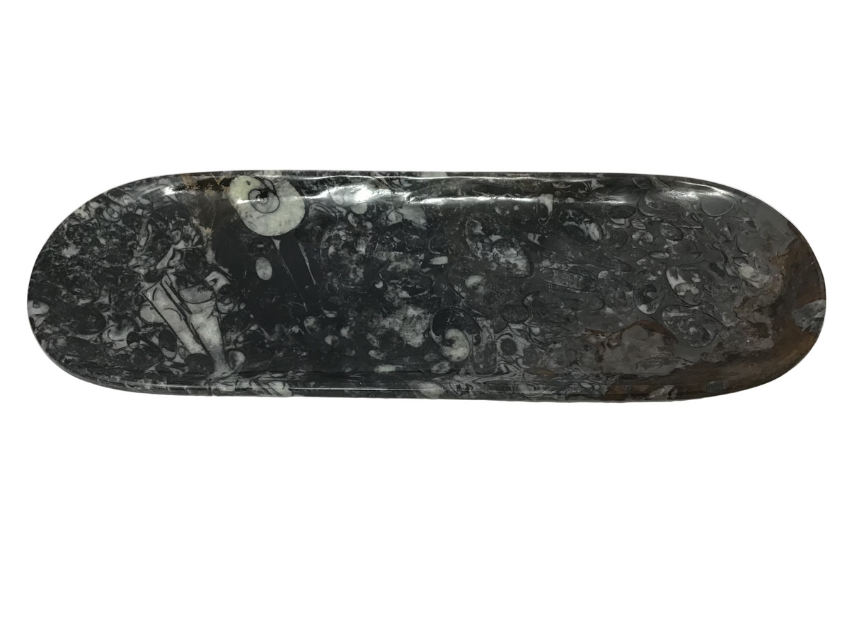 Orthoceras Fossil Long Oval Tray Dish