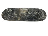 Orthoceras Fossil Long Oval Tray Dish