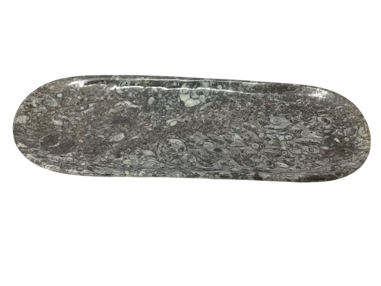 Orthoceras Fossil Long Oval Tray Dish
