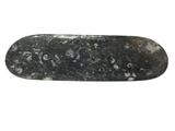 Orthoceras Fossil Long Oval Tray Dish