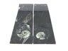 Ammonite and Orthoceras Fossil Bookends in Black Seabed - Trapezoid