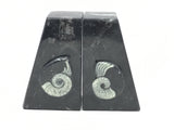 Ammonite and Orthoceras Fossil Bookends in Black Seabed - Trapezoid