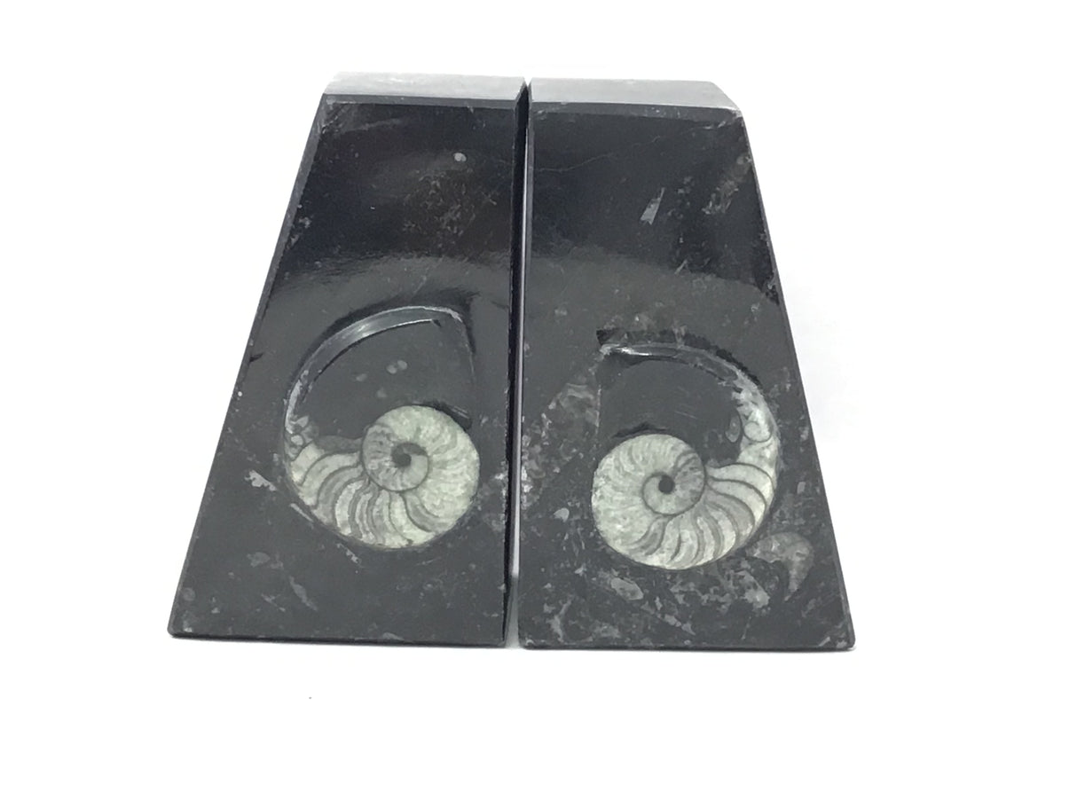 Ammonite and Orthoceras Fossil Bookends in Black Seabed - Trapezoid