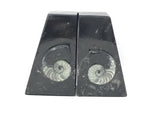 Ammonite and Orthoceras Fossil Bookends in Black Seabed - Trapezoid