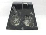 Ammonite and Orthoceras Fossil Bookends in Black Seabed - Trapezoid