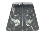 Ammonite and Orthoceras Fossil Bookends in Black Seabed - Trapezoid