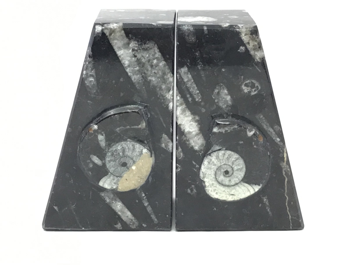 Ammonite and Orthoceras Fossil Bookends in Black Seabed - Trapezoid