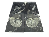Ammonite and Orthoceras Fossil Bookends in Black Seabed - Trapezoid