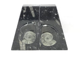 Ammonite and Orthoceras Fossil Bookends in Black Seabed - Trapezoid