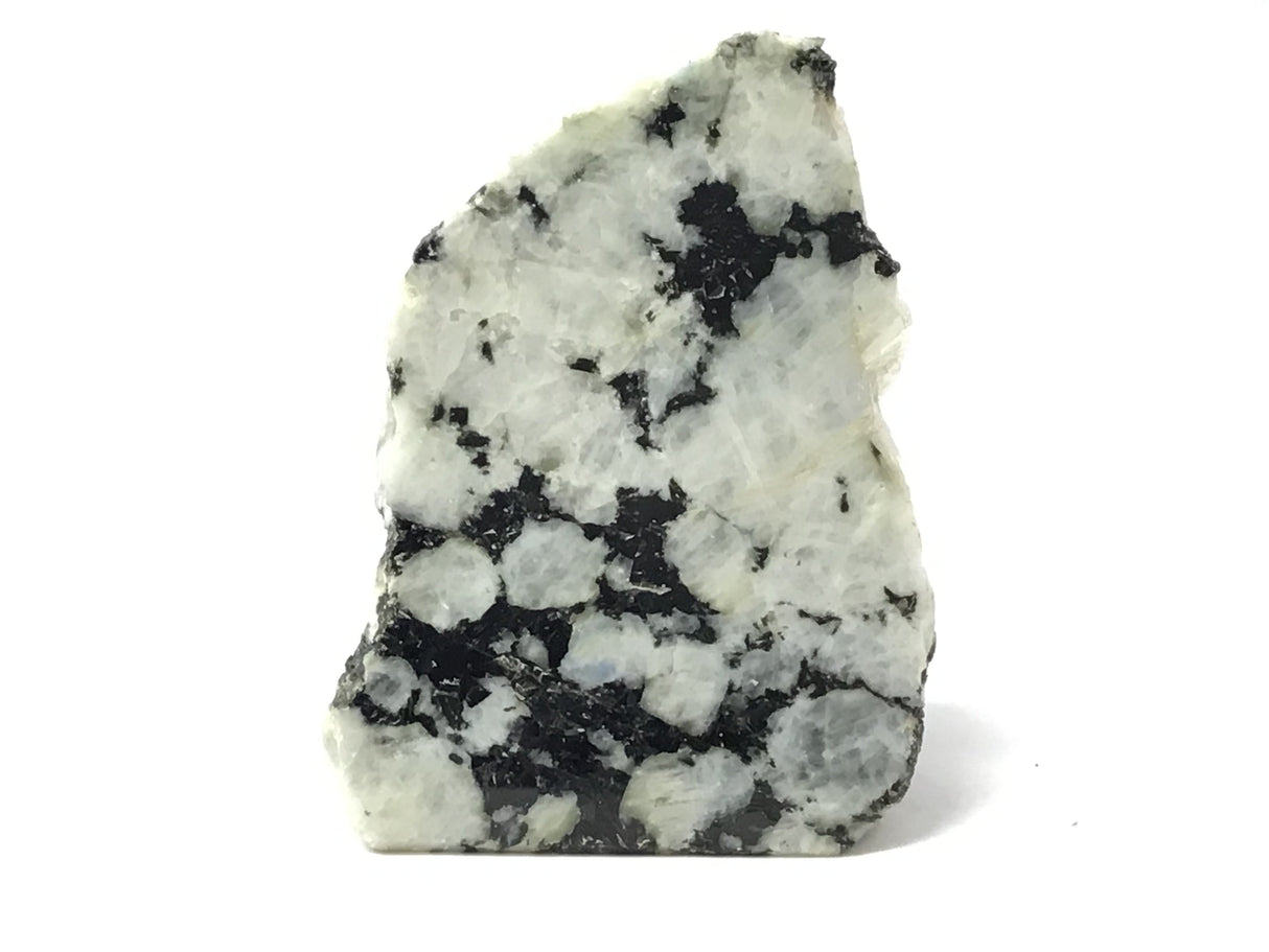 Rainbow Moonstone Specimen - One Side Polish - Large