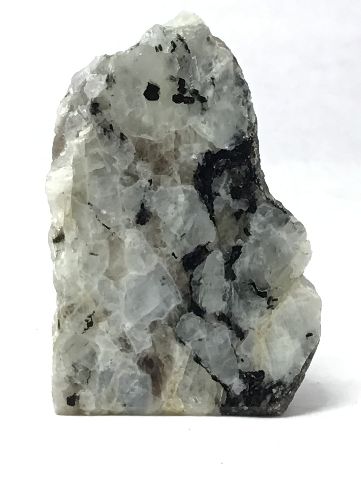 Rainbow Moonstone Specimen - One Side Polish - Large