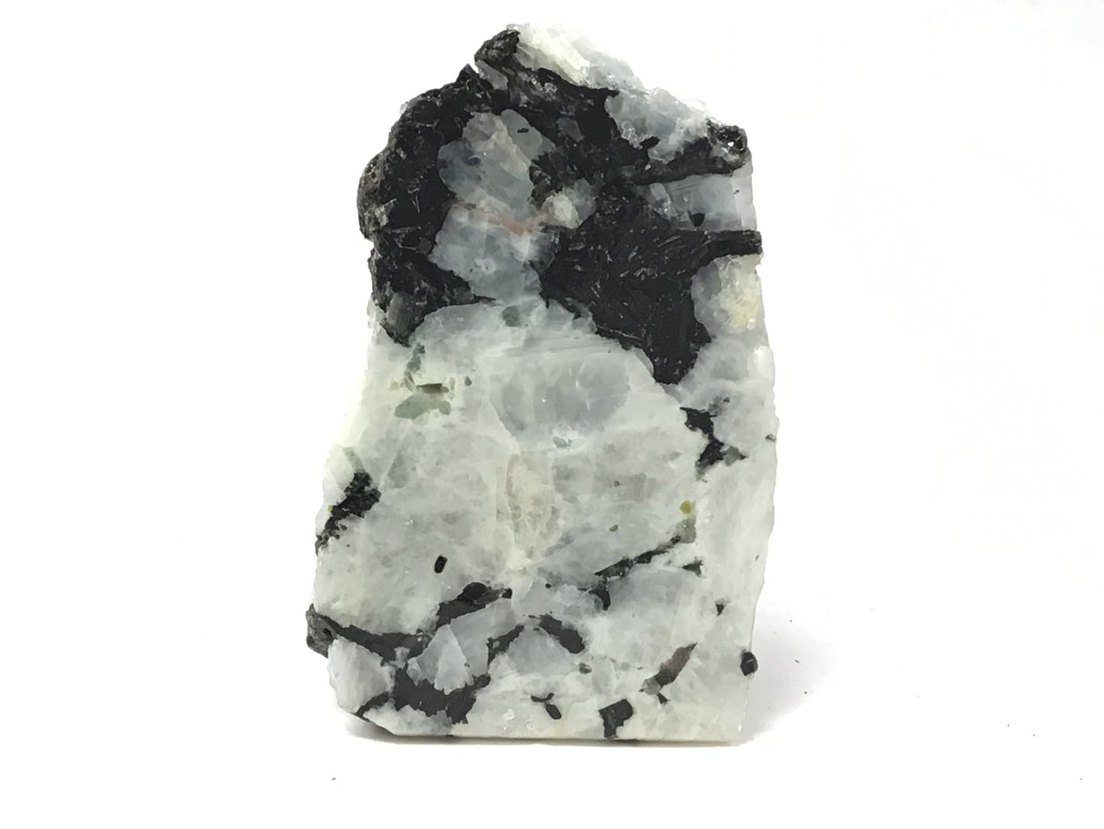 Rainbow Moonstone Specimen - One Side Polish - Small