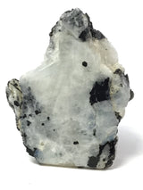 Rainbow Moonstone Specimen - One Side Polish - Medium