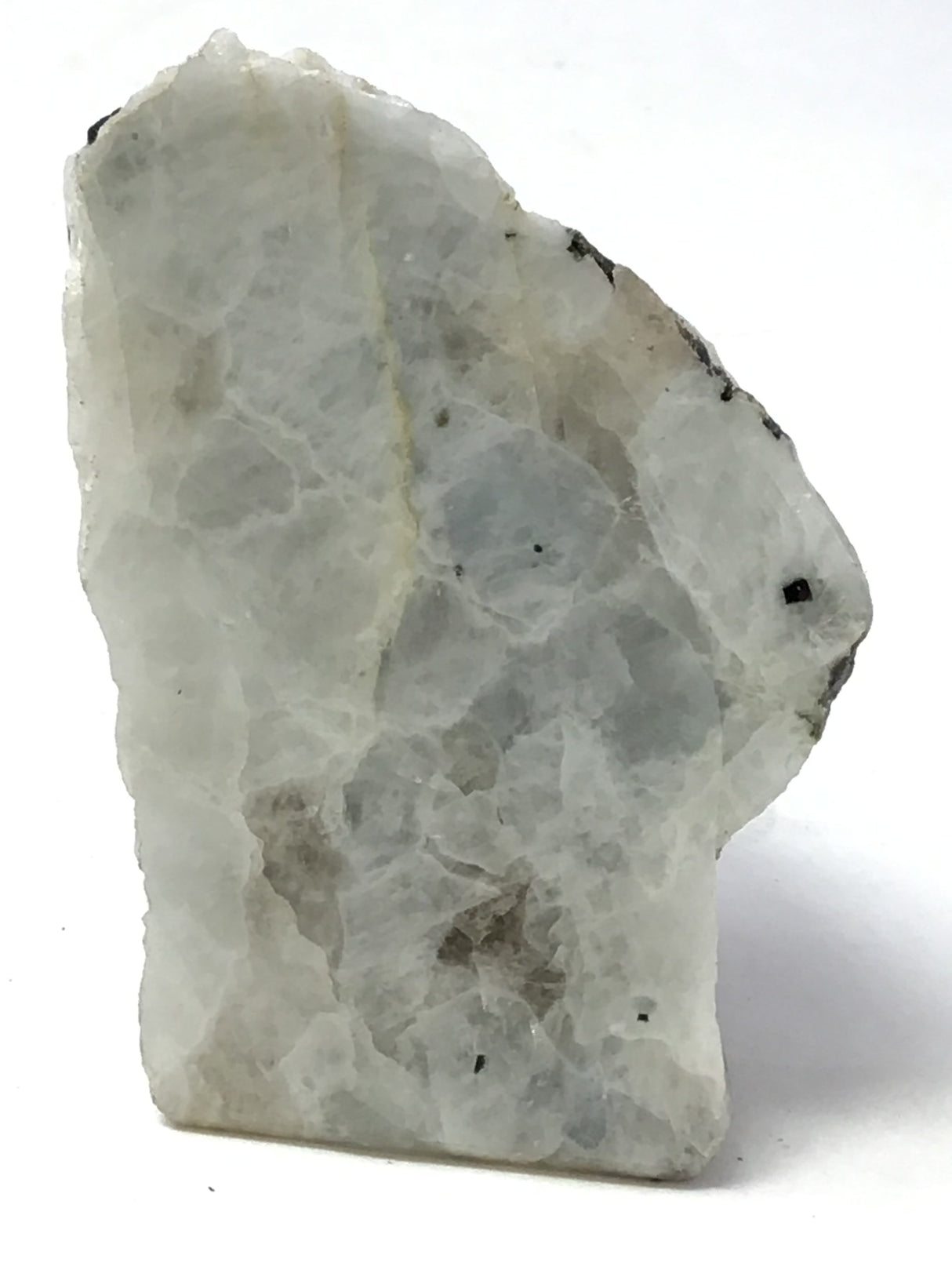 Rainbow Moonstone Specimen - One Side Polish - Medium