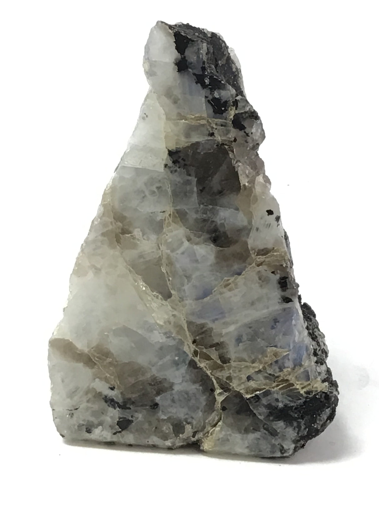 Rainbow Moonstone Specimen - One Side Polish - Medium