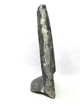 Ammonite and Orthoceras Fossil Plaque with Brown Seabed Base from Morocco - Small