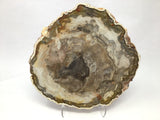 Madagascar Petrified Wood Slice with Natural Bark Edge - Medium on Lucite Easel