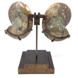 Ammonite Fossil Pair On Custom Stand with Hinge Functionality