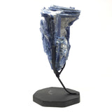 A-Quality Super Gem Blue Kyanite Cluster on Fitted Metal Stand