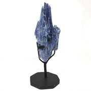 Gem blue Pinnacle kyanite cluster fanning into tall blades on a fitted black metal stand, white backdrop