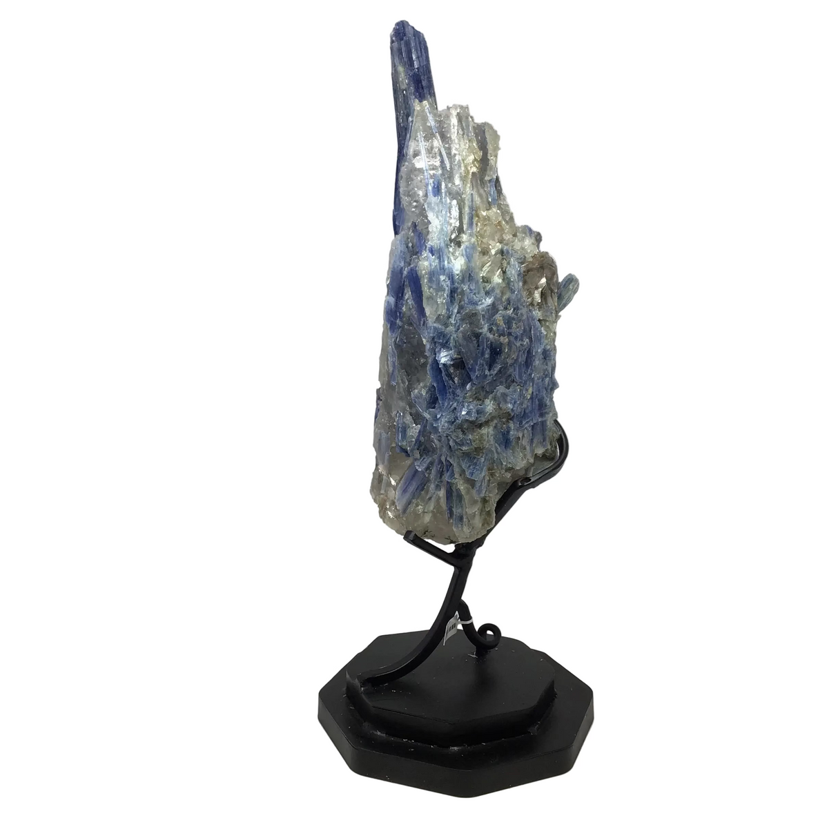 Grappe de Kyanite bleue en spirale « Gemme de qualité A » sur support métallique ajusté