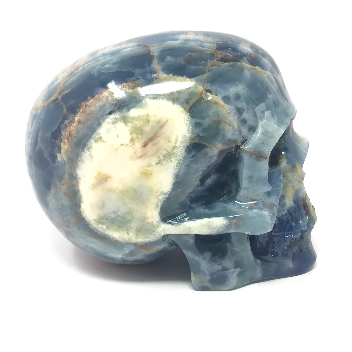 Blue Calcite Skull Carving with Rich Blues on Left & Creamy White on Right - Extra Large