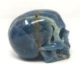 Blue Calcite Skull Carving with Dreamy Blue & Woody Streak Ear To Ear