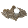 Desert Rose Cluster Candle Holder