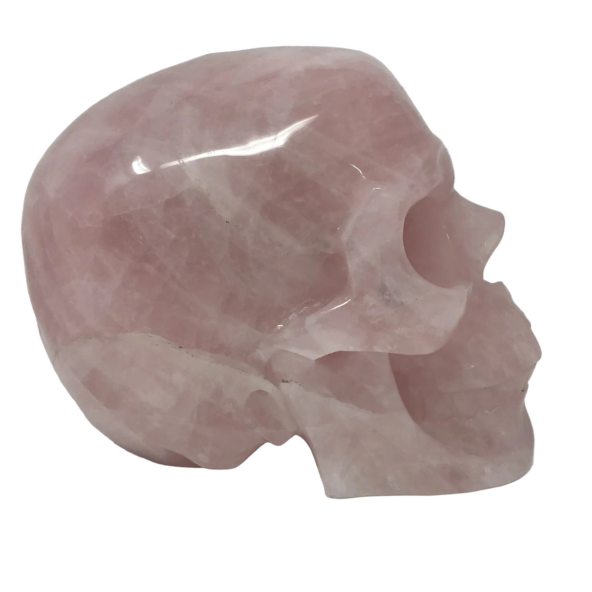 A+ Rose Quartz Skull Carving - Extra Large 9"