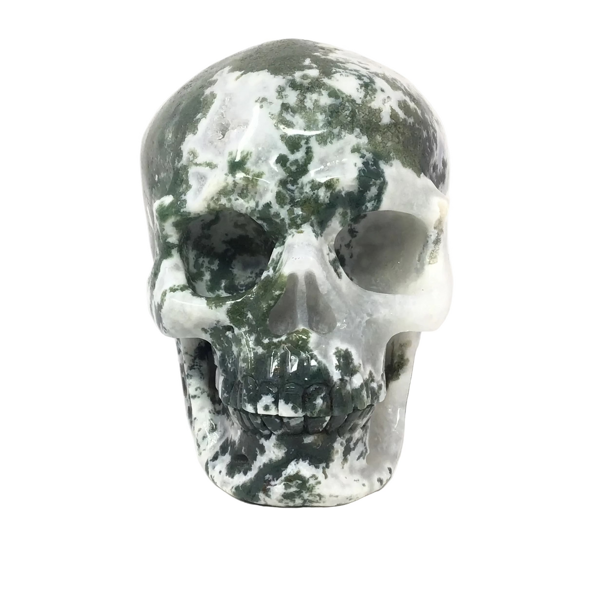 Mossy Green Moss Agate Skull Carving with Quartz Druze Pockets 6"