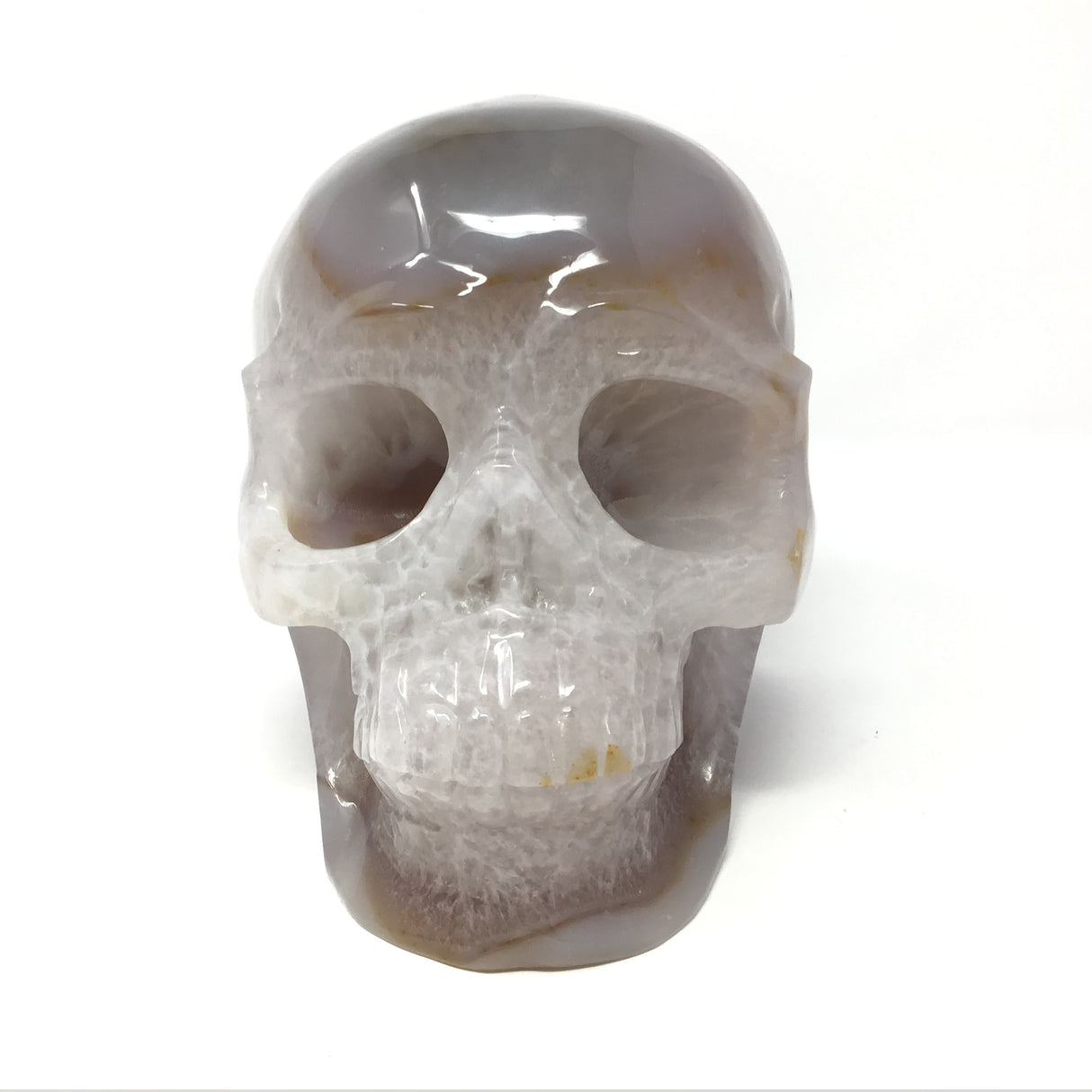 Milky Blue Agate Skull Carving with Carnelian Quartz Vug on Right - 7.2"