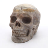 A+ Fossilized Coral Skull Carving - 3"