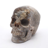 A+ Fossilized Coral Skull Carving - 3"