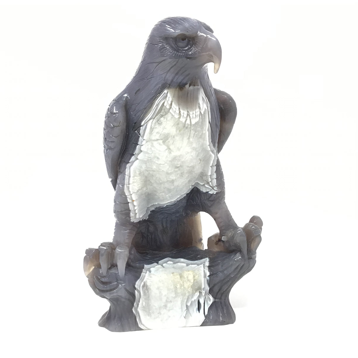 Sculpture d'aigle en agate avec excellent placement perché sur un arbre