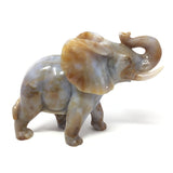 Flower Agate Sahara Elephant Carving with Carnelian Hues