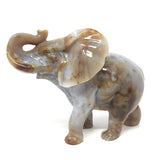 Flower Agate Sahara Elephant Carving with Carnelian Hues