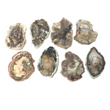 Madagascar Petrified Wood Slices - Colorful Slices on Lucite Stands - Sold In Singles