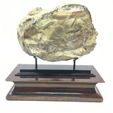 Scenic Blue Mountain Jasper End Cut on Custom Rotating 2-Tone Stand
