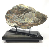 Scenic Blue Mountain Jasper End Cut (Oregon) on Custom Designer Spinning Stand