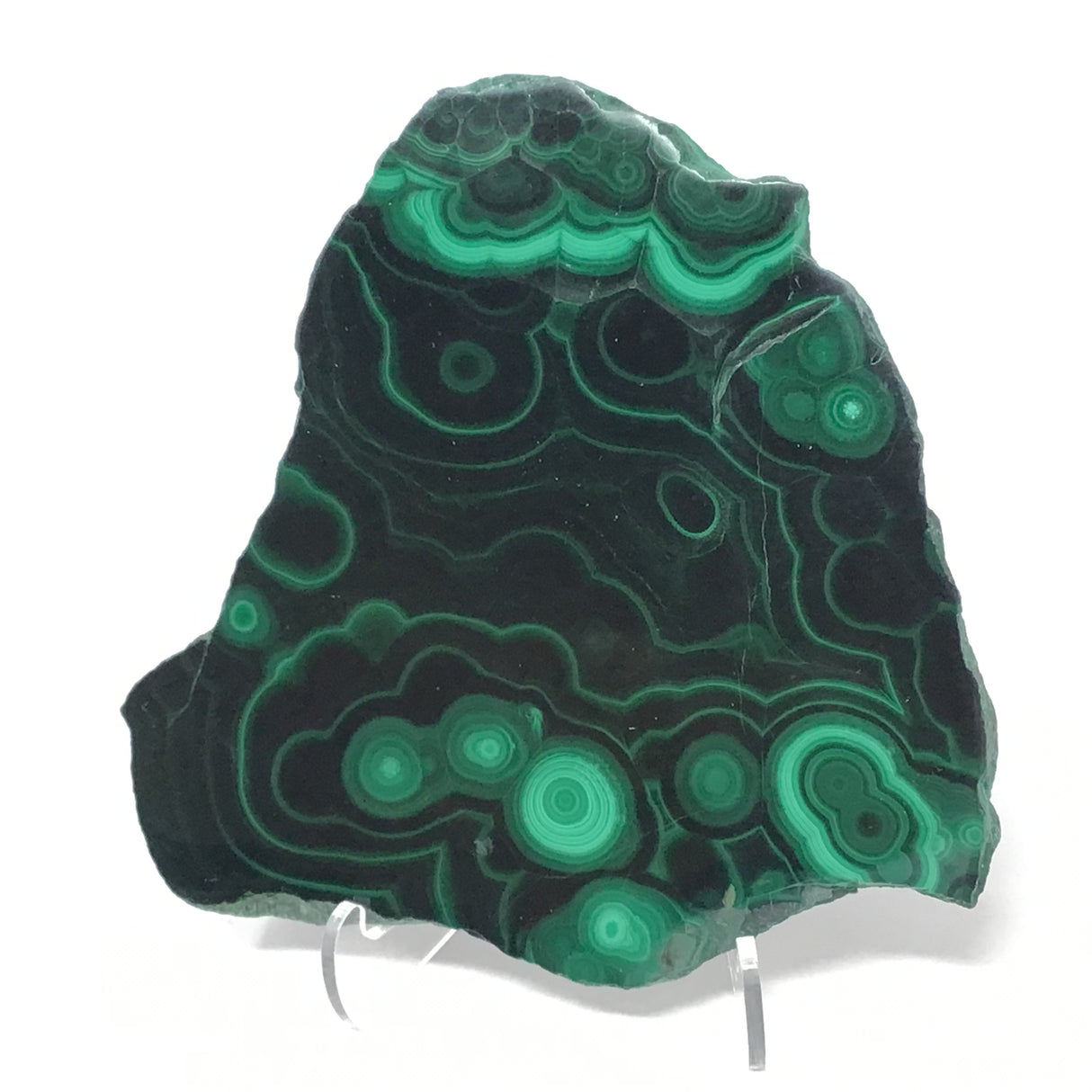 Malachite Slice with Striking Botryoidal Patterns on Lucite Stand