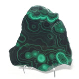 Malachite Slice with Striking Botryoidal Patterns on Lucite Stand