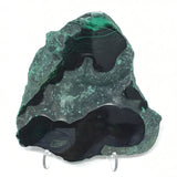 Malachite Slice with Striking Botryoidal Patterns on Lucite Stand
