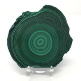 Malachite Bulls Eye Slice on Lucite Stand
