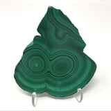 Malachite Bulls Eye Slice on Lucite Stand