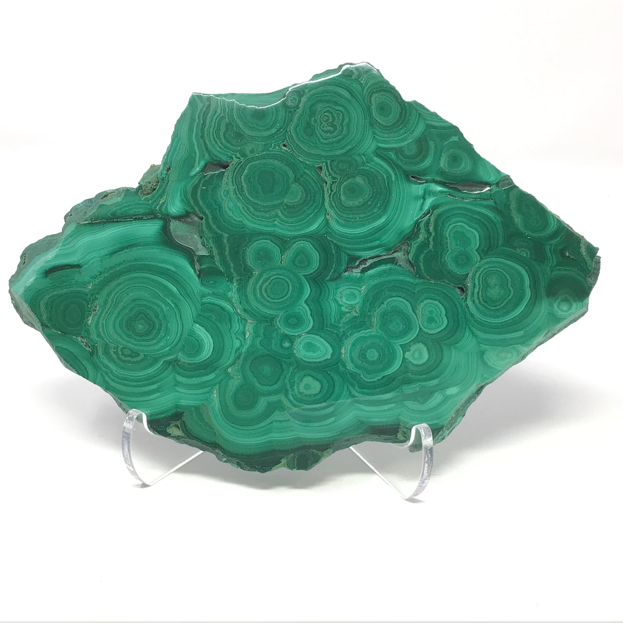 Malachite Botryoidal Slice with Rugged Druze Edges on Lucite Stand