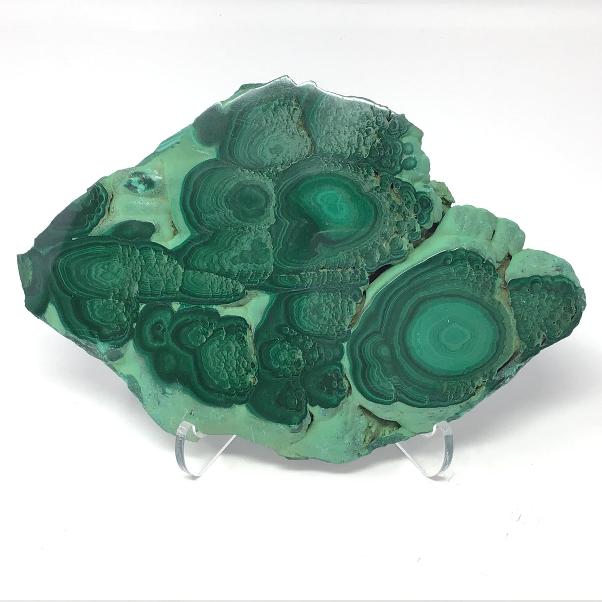 Malachite Botryoidal Slice with Rugged Druze Edges on Lucite Stand