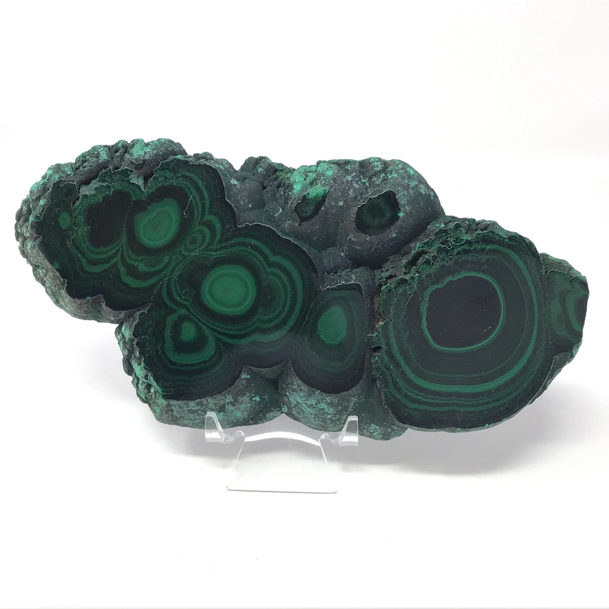 Malachite Botryoidal Slice with Rugged Druze Edges on Lucite Stand