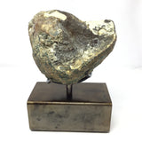 Scenic Blue Mountain Jasper End Cut on Custom Stand - Ammonite Shape